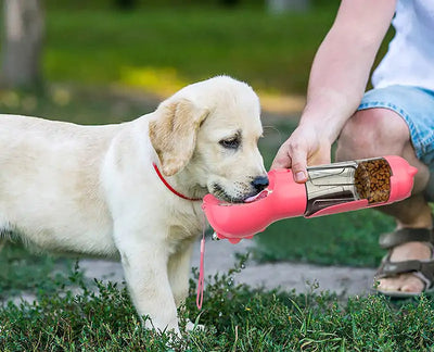 On-the-Go Pet Water Bottle/Feeder/Waste Bag Dispenser